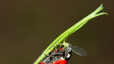 November 2022 Blogs | Miche Pest Control