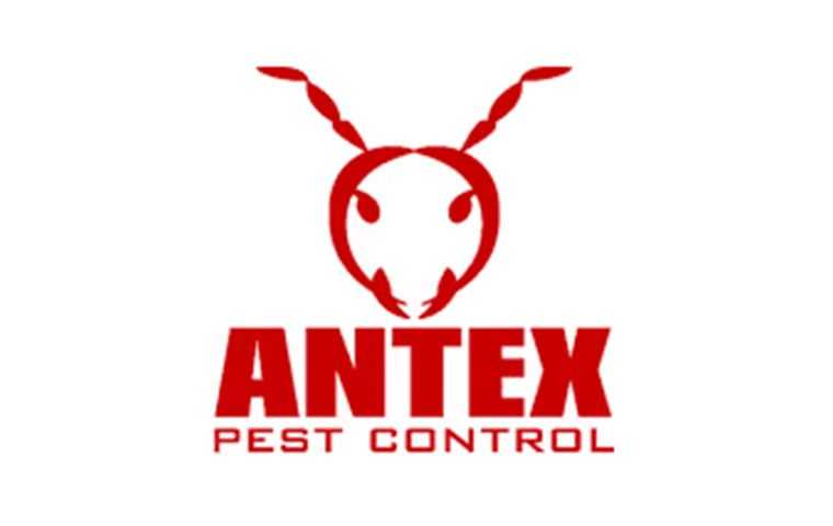 antex logo